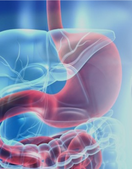 Gastric